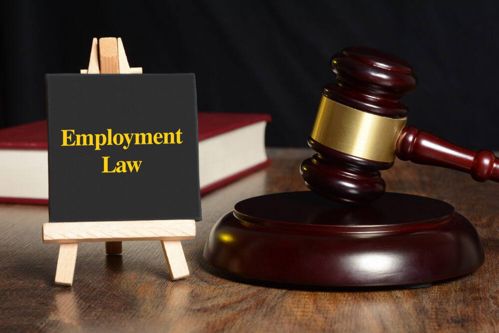 Principles of Employment Law 