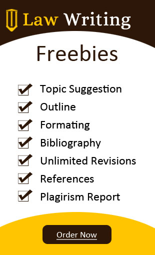 The future of transportation essay image